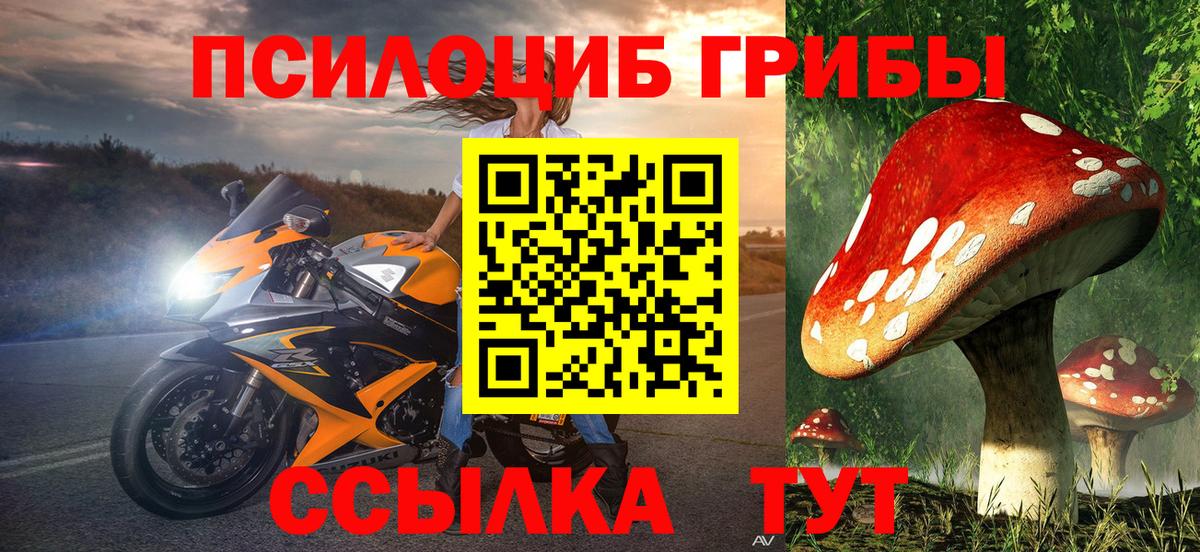 Саянск  Галлюциногенные грибы ЛСД  Вход с VPN 